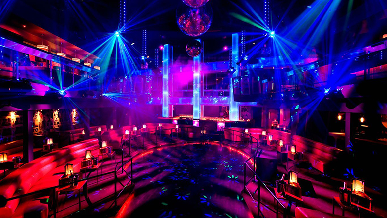 Night club & Discotheque
