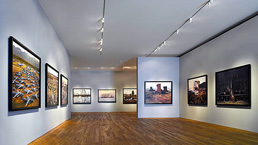 Art Galleries