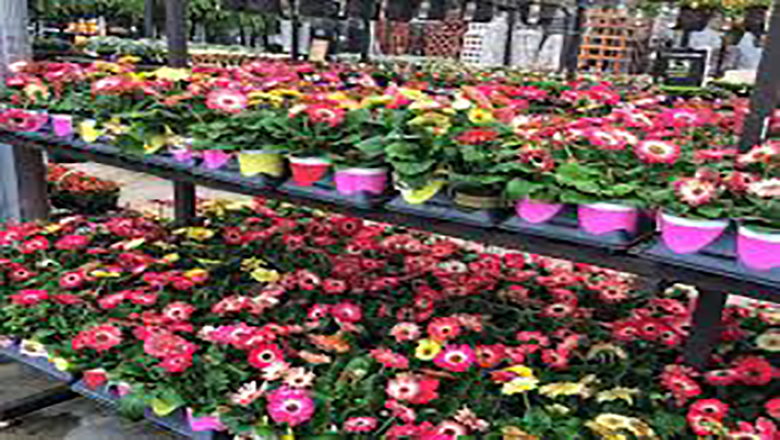 Garden Centers